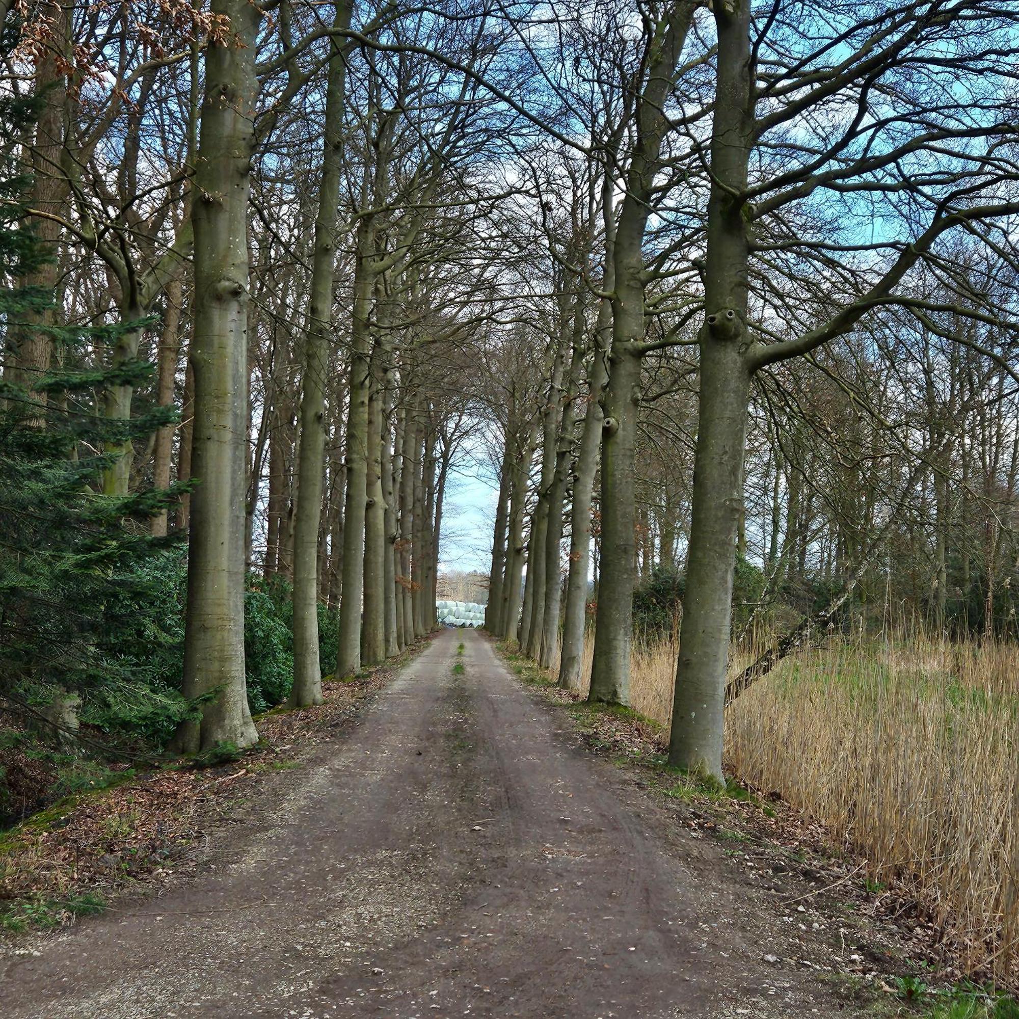 Holiday Home Countryside, Langbroek / Doorn Exteriör bild