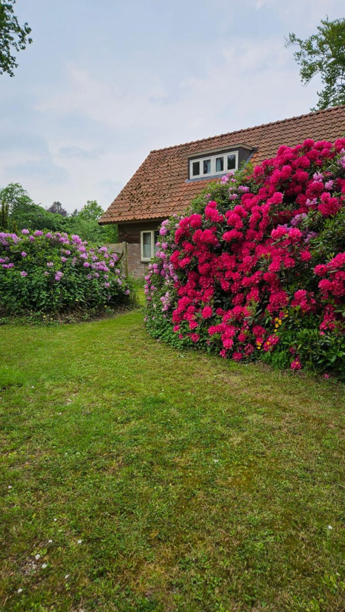 Holiday Home Countryside, Langbroek / Doorn Exteriör bild