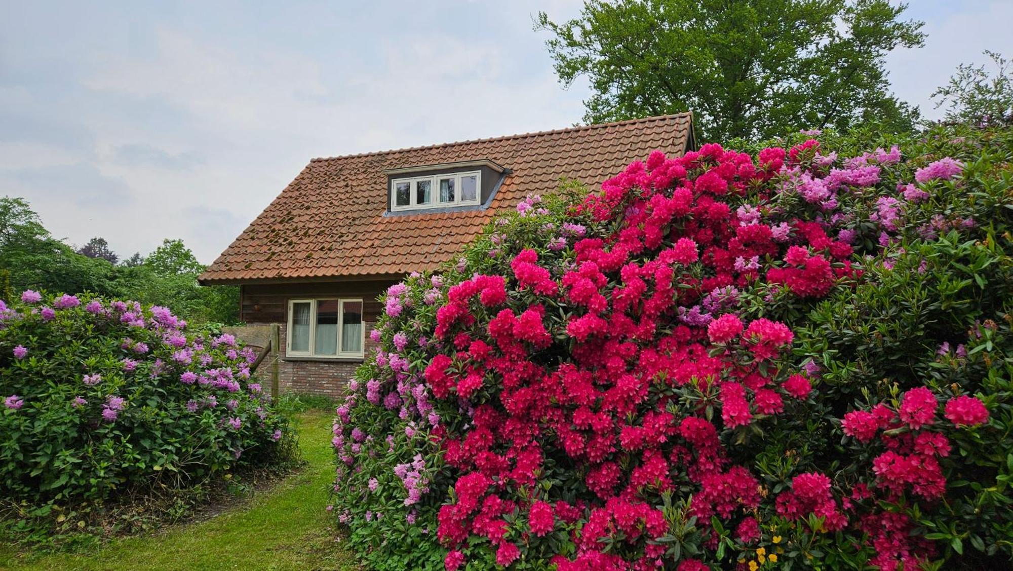 Holiday Home Countryside, Langbroek / Doorn Exteriör bild